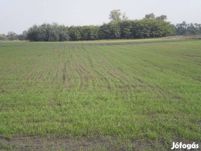 Szántó-legelő földterület mely 2500 m2 szántó területtel rendelkezik