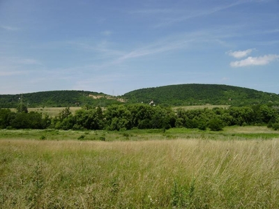 Eladó mezőgazdasági ingatlan - Budakeszi