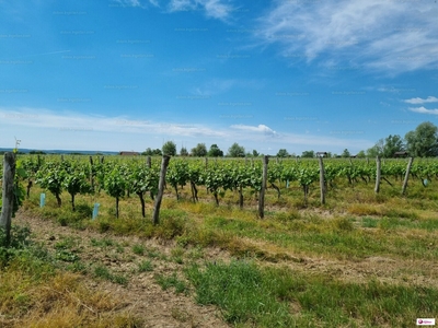 Eladó termőföld, szántó - Harka, Győr-Moson-Sopron megye