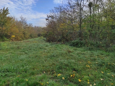 Eladó üdülőövezeti telek - Balatonszárszó, Somogy megye