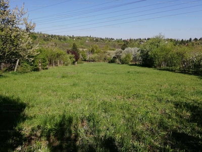 Eladó üdülőövezeti telek - Miskolc, Völgy utca