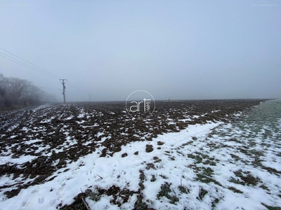 Szent Mihály telep, Szeged, ingatlan, mezőgazd. ingatlan, 10724 m2, 30.000.000 Ft