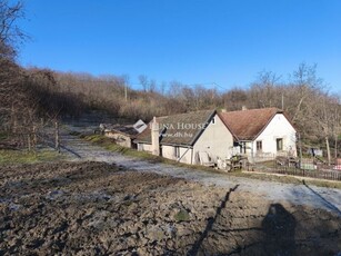 Eladó mezogazdasagi ingatlan Tamási