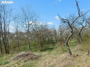 Kőhegy legnagyobb, még beépítetlen területe eladó