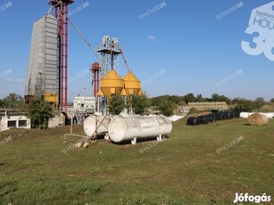 MAJOR 3 ha-os TERÜLETEN, 1500 m2 ÉPÍTMÉNNYEL ÉS SZÁRÍTÓVAL ELADÓ!