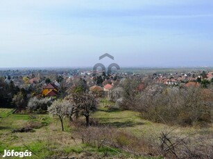 ÖRÖK PANORÁMÁS TELEK CSÖMÖRÖN - AZ UTOLSÓK EGYIKE!