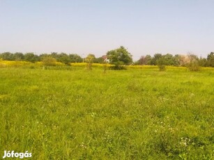 Szigetszentmiklós, Tagi út közeli utca, 750 m2-es, telek