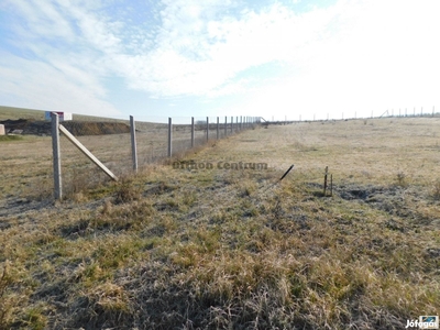 Panorámás telek Berkenyén - Berkenye, Nógrád - Telek, föld