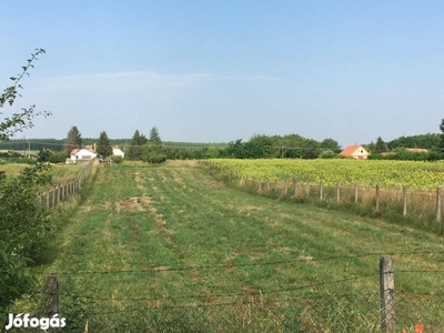 Nyírség utca 1.500 m2 telek eladó