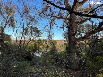 Tiszaújváros Tisza-part ártéri telkek eladók