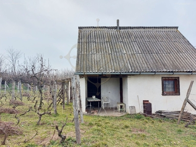 belterület, Bölcske, ingatlan, mezőgazd. ingatlan, 11978 m2, 10.590.000 Ft