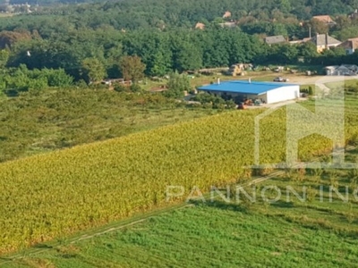 Csikvánd, ingatlan, mezőgazd. ingatlan, 143734 m2, 70.000.000 Ft