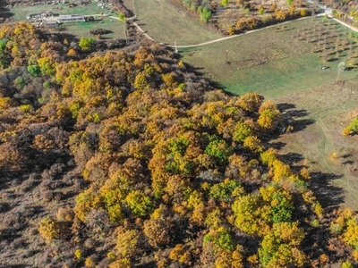 Szentkirályszabadja, ingatlan, üzleti ingatlan, 55921 m2, 500.000.000 Ft