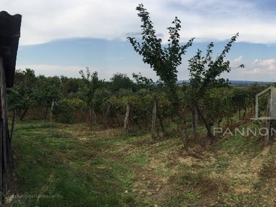 Vanyola, ingatlan, mezőgazd. ingatlan, 15000 m2, 10.000.000 Ft