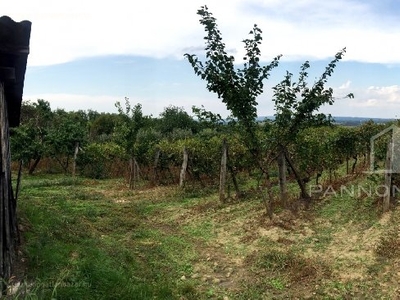 Vanyola, ingatlan, mezőgazd. ingatlan, 3625 m2, 2.400.000 Ft