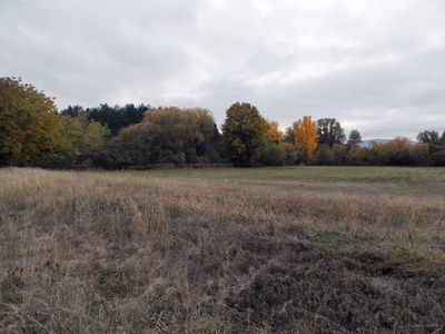 Veszprém, ingatlan, mezőgazd. ingatlan, 1521 m2, 1.100.000 Ft