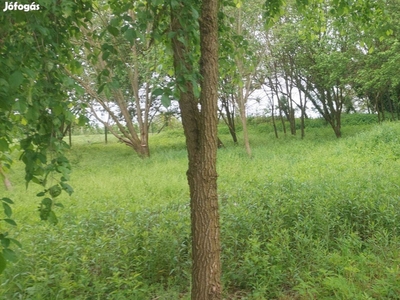 Nagykanizsa telek - Nagykanizsa, Zala - Telek, föld