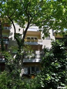 XXI. kerületi csepeli felújítandó lakás - XXI. kerület, Budapest - Lakás
