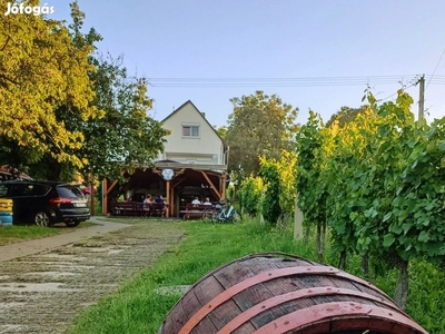 Zalakarosi eladó 80 nm-es étterem - Zalakaros, Zala - Iroda, üzlethelyiség, ipari ingatlan