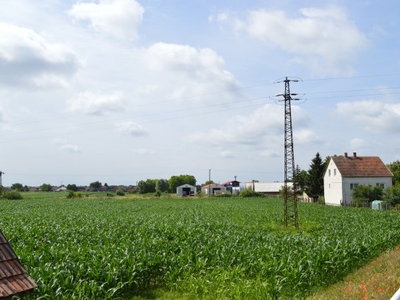 Eladó ipari ingatlan Hajdúsámson, Árpád út