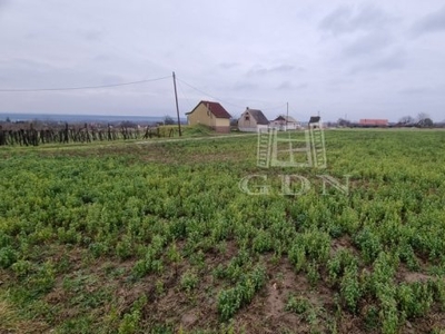 Eladó telek Sárszentmihály, Szőlő utca