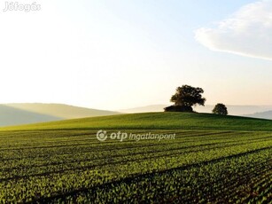 Eladó 2394 nm-es Építési telek Balatonboglár Tesco mögött