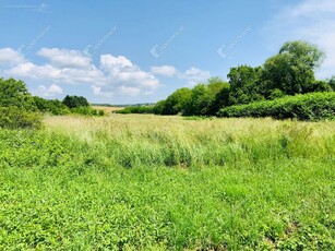 Nagykanizsa, ingatlan, mezőgazd. ingatlan, 15310 m2, 10.700.000 Ft