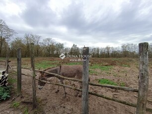 Vasad, ingatlan, mezőgazd. ingatlan, 100 m2, 39.900.000 Ft