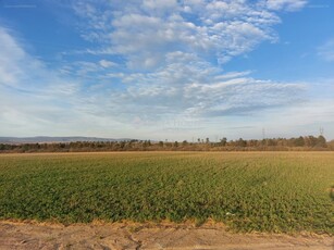 Veszprém, ingatlan, telek, 666.924.700 Ft