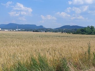 Eladó földterület Esztergom