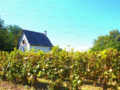 Eladó általános mezőgazdasági ingatlan - Tokaj, Külterület