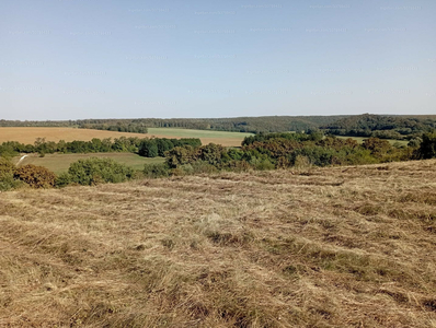 Eladó egyéb telek - Bárdudvarnok, Berkenye utca