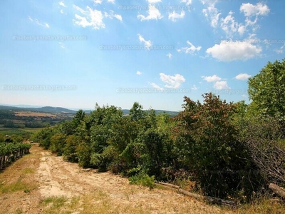 Eladó külterületi telek - Pécsely, Veszprém megye