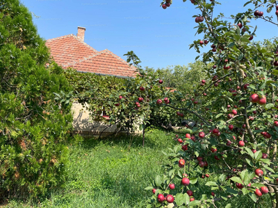 Eladó vályogház - Békéscsaba, Nyitrai utca