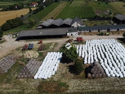 Szentjakabfa, ingatlan, mezőgazd. ingatlan, 2000 m2, 350.000.000 Ft