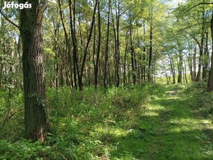 Csabrendek külterületén 11,2Ha területen legelő, erdő, horgásztó eladó