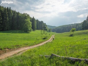 Debrecen- Haláp településen főút melletti mezőgazdasági telek eladó