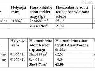 Eladó 6,32ha szántó Hajdúböszörményben