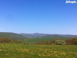 Eladó 8000m2 telek a Dunakanyarban