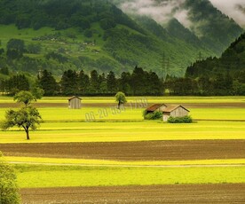 Eladó átlagos állapotú mezőgazdasági ingatlan - Pölöskefő