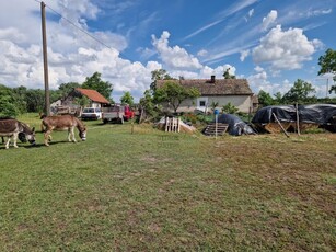 Eladó családi házNyársapát