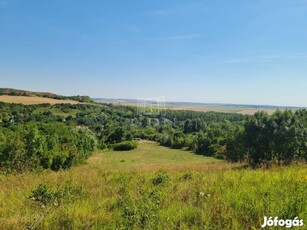 Eladó legelő Mány, Mányi út