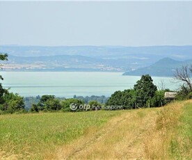 Eladó mezőgazdasági ingatlan - Kőröshegy