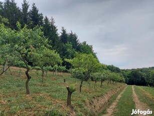 Eladó mezőgazdasági ingatlan Zalaegerszeg, Botfa