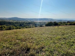 Eladó mezogazdasagi ingatlan Balatoncsicsó