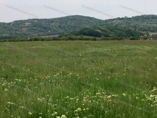 Eladó mezogazdasagi ingatlan Balatonszőlős