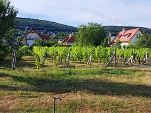 Eladó mezogazdasagi ingatlan Csopak