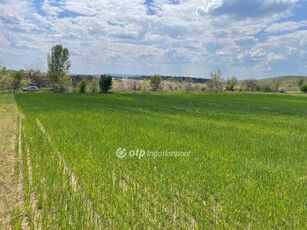 Eladó mezogazdasagi ingatlan Fót