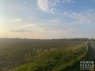 Eladó mezogazdasagi ingatlan Hódmezővásárhely, Susán