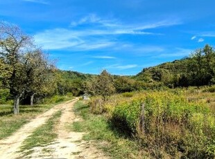 Eladó mezogazdasagi ingatlan Hollád